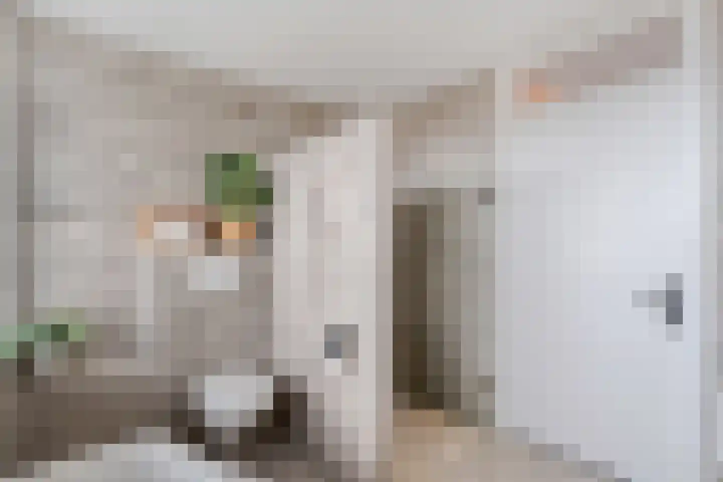 J. Vermeerstraat 5 Hardenberg thumbnail 37