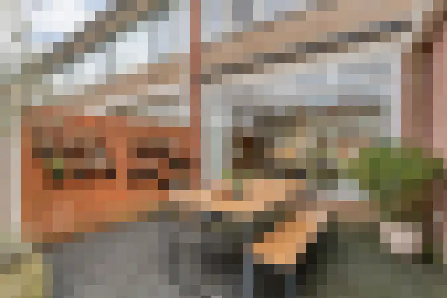 J. Vermeerstraat 5 Hardenberg thumbnail 41