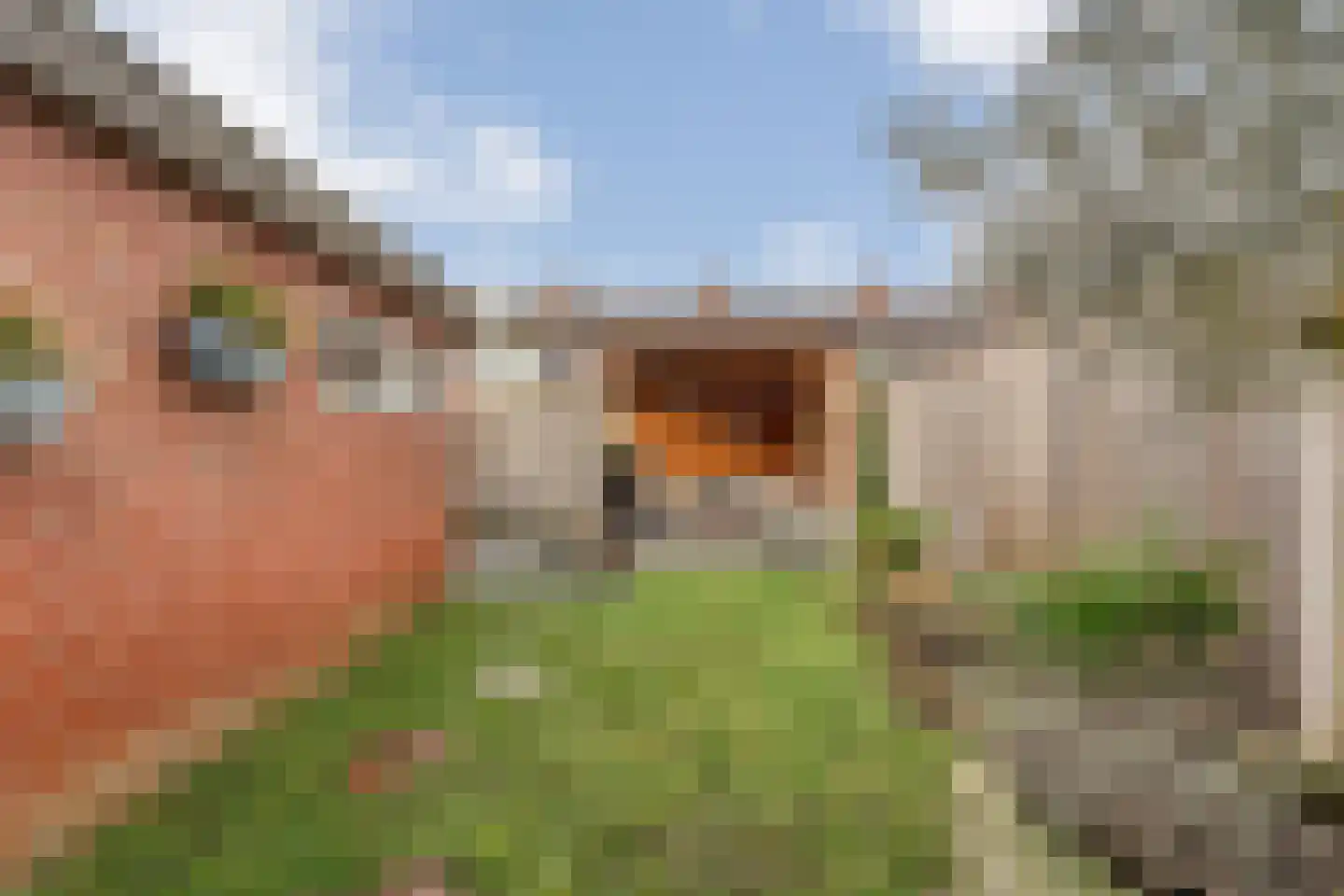 J. Vermeerstraat 5 Hardenberg thumbnail 44