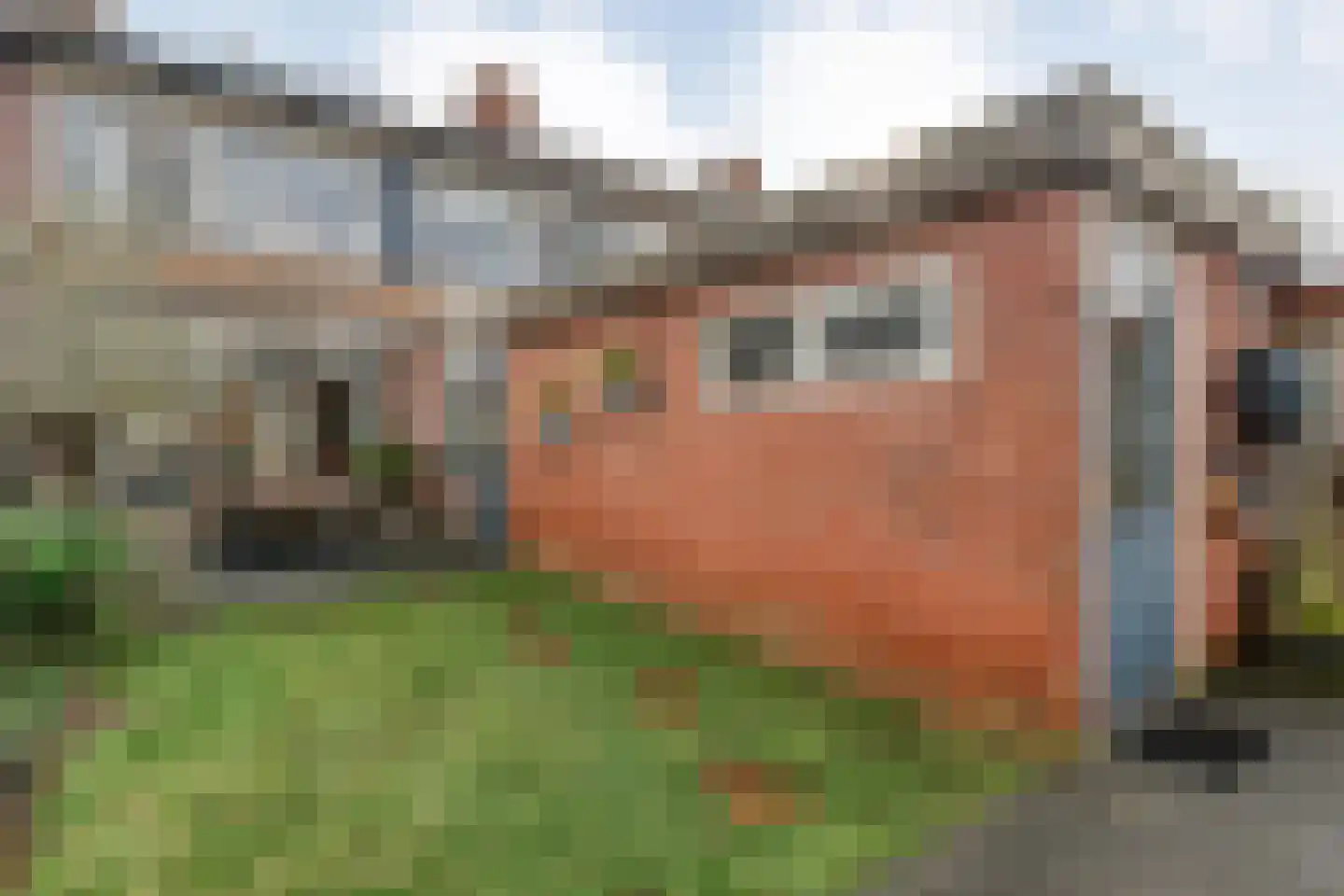 J. Vermeerstraat 5 Hardenberg thumbnail 45