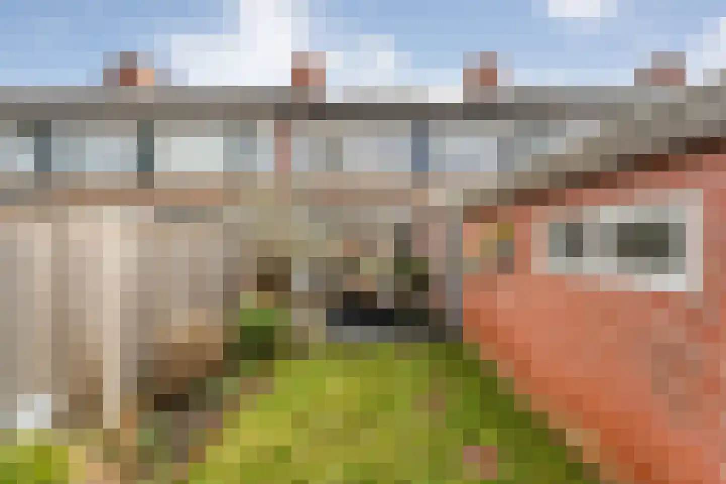 J. Vermeerstraat 5 Hardenberg thumbnail 49