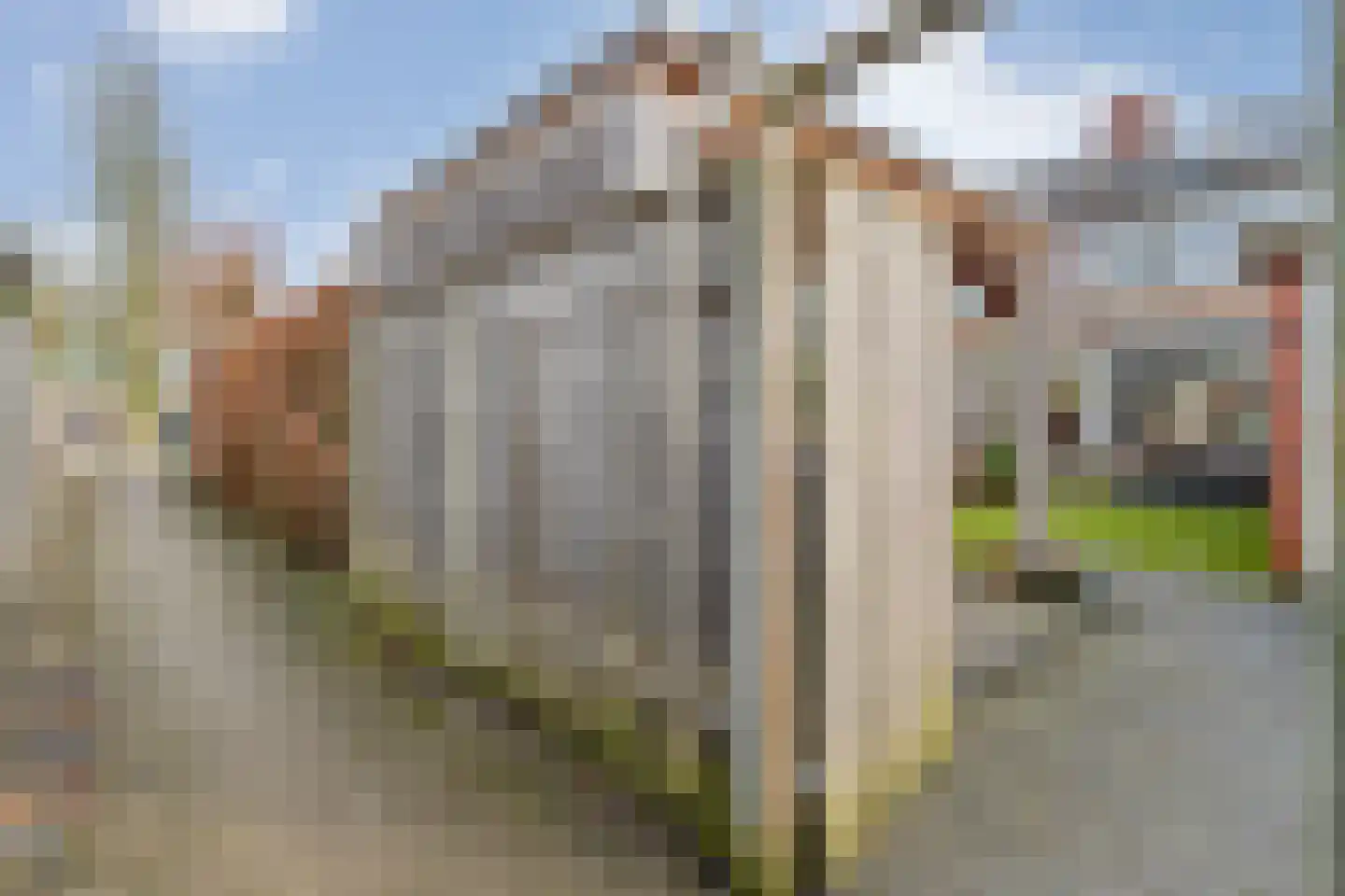J. Vermeerstraat 5 Hardenberg thumbnail 50