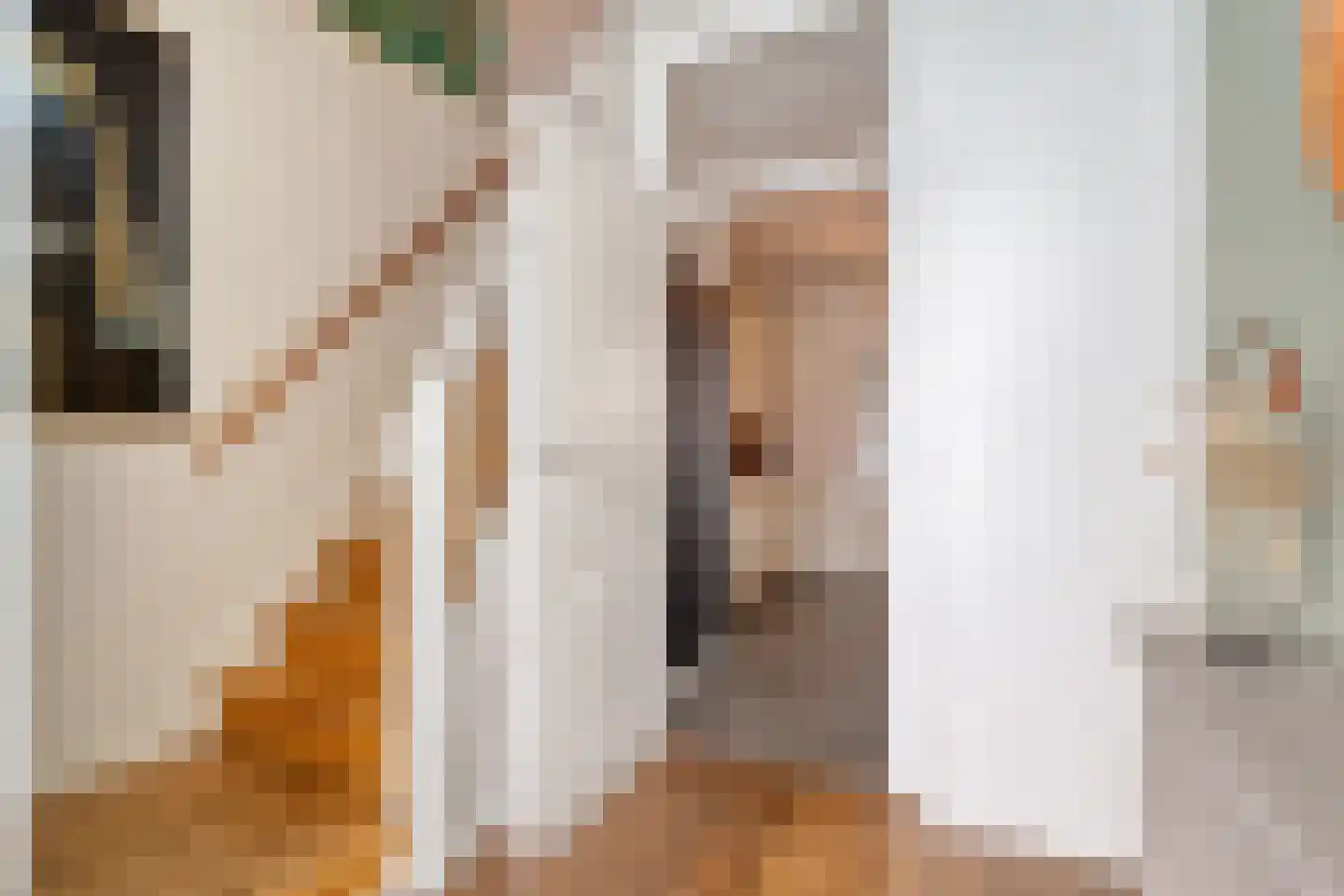 J. Vermeerstraat 5 Hardenberg thumbnail 6