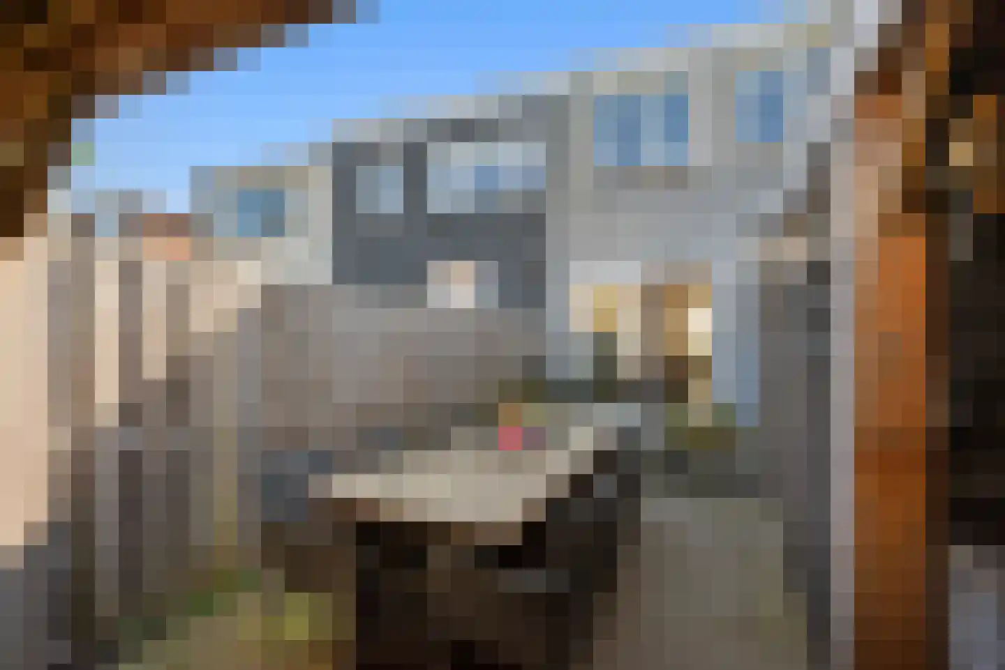 J.W.C. Bloemstraat 19 Alphen aan den Rijn thumbnail 17