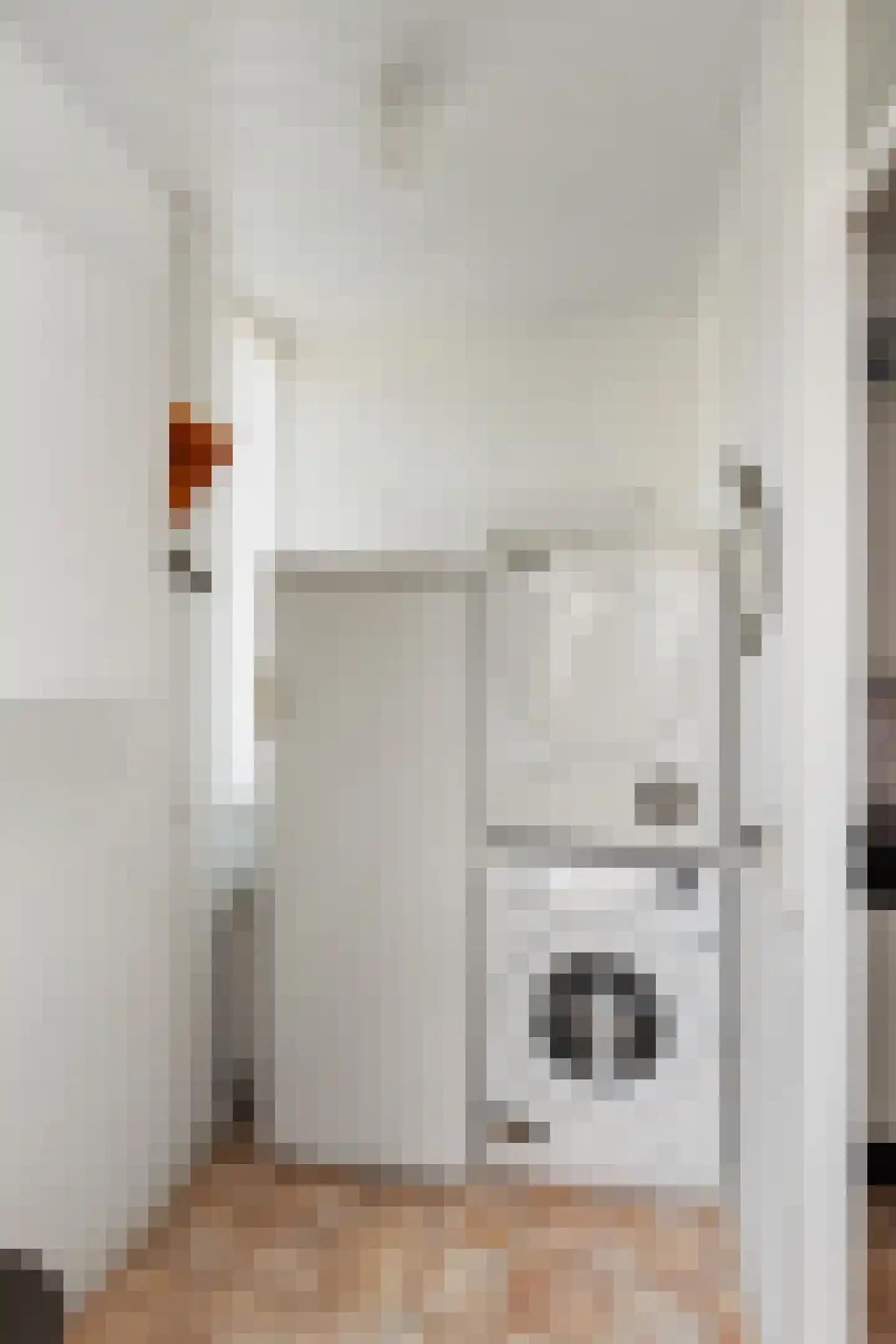 J.W. Dumonstraat 35 Olst thumbnail 12