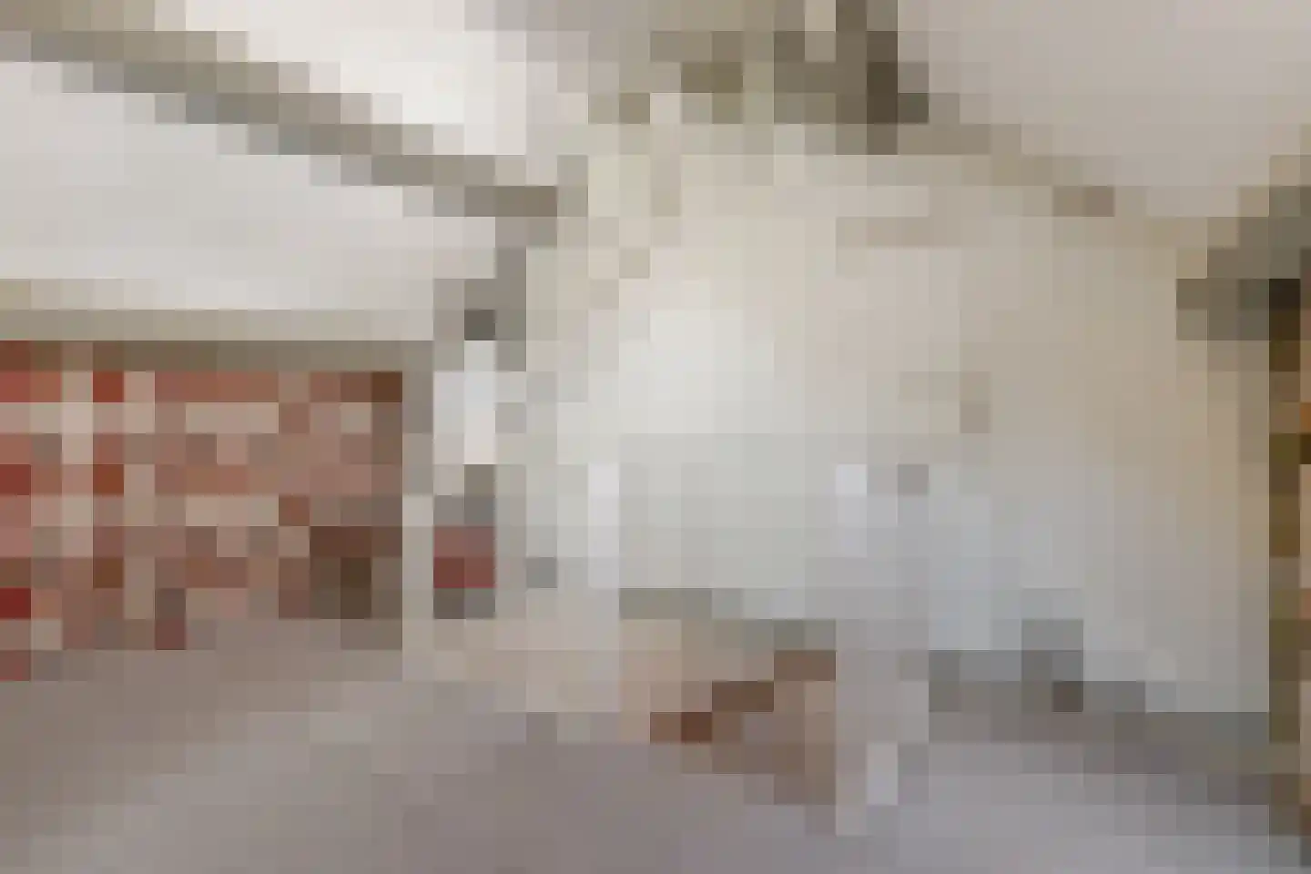 J.W. Dumonstraat 35 Olst thumbnail 22