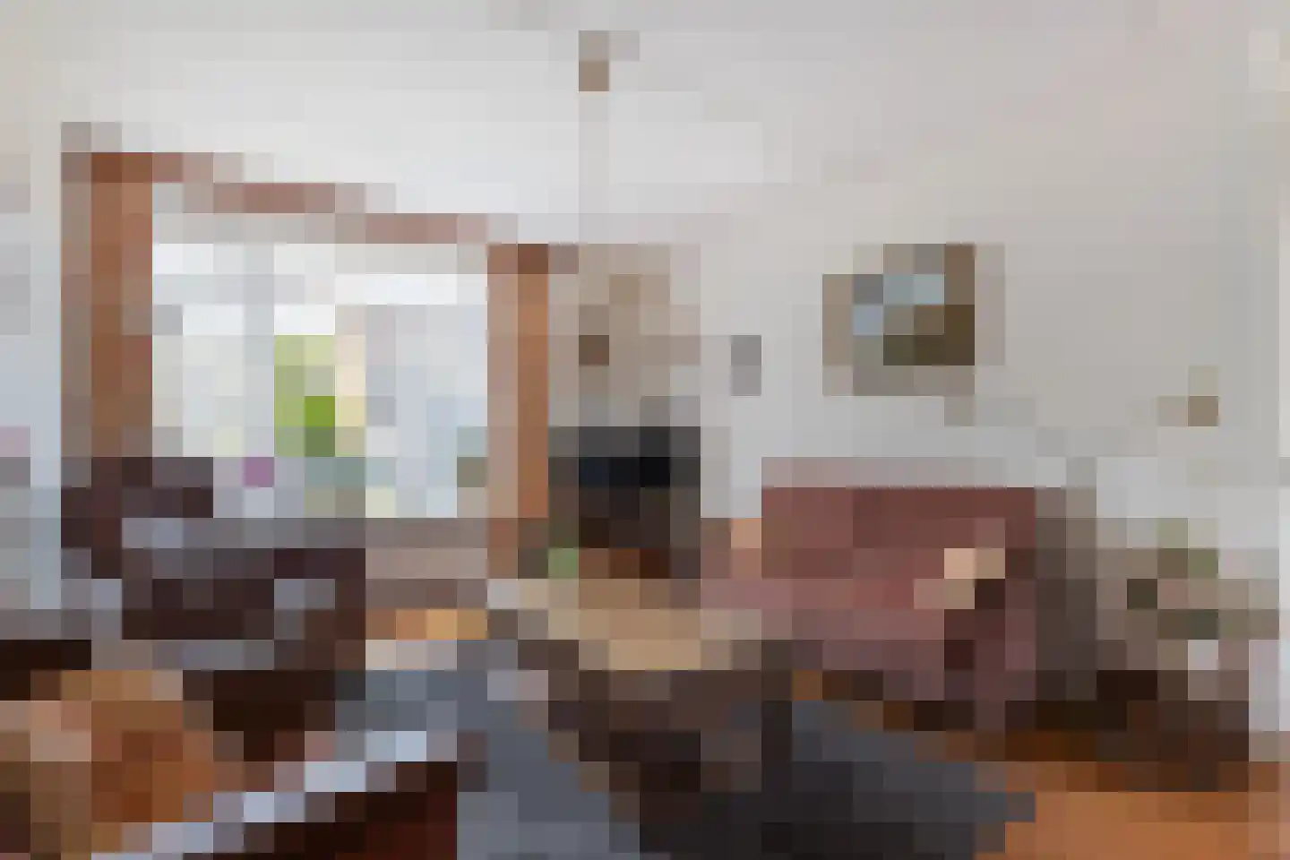 J.W. Dumonstraat 35 Olst thumbnail 4