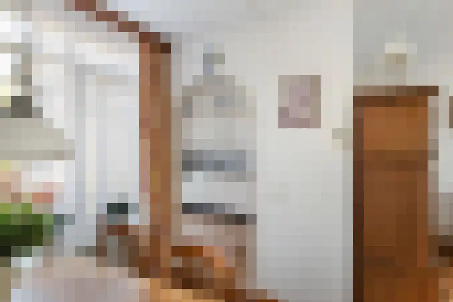 J.W. Dumonstraat 35 Olst thumbnail 9