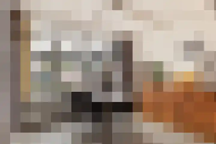 J.W. Dumonstraat 36 Olst thumbnail 8