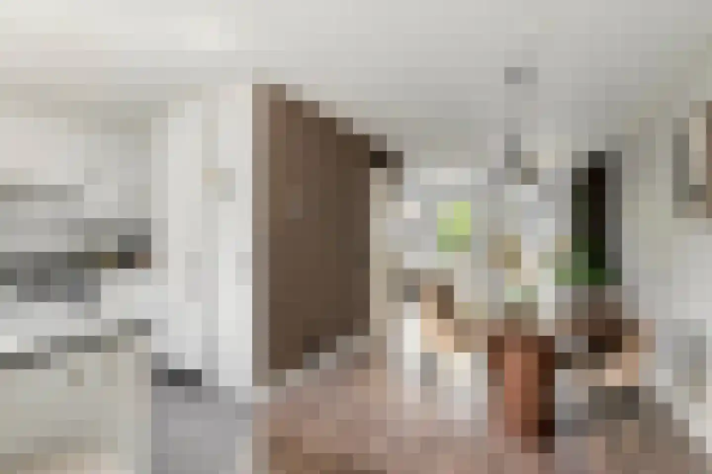 J.W. Dumonstraat 4 Olst thumbnail 10