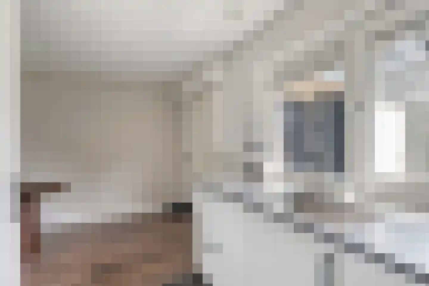 J.W. Dumonstraat 4 Olst thumbnail 12