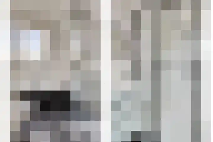 J.W. Dumonstraat 4 Olst thumbnail 14