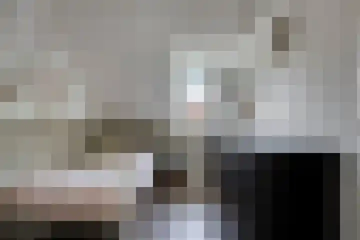 J.W. Dumonstraat 4 Olst thumbnail 17