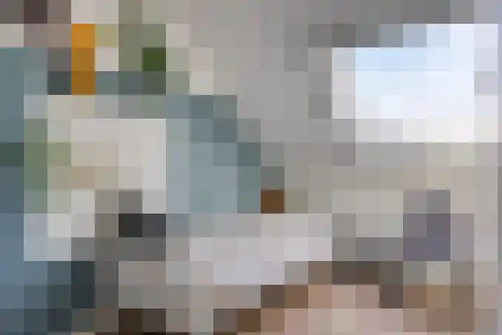 J.W. Dumonstraat 4 Olst thumbnail 18