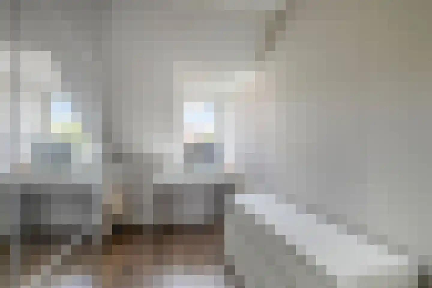 J.W. Dumonstraat 4 Olst thumbnail 19