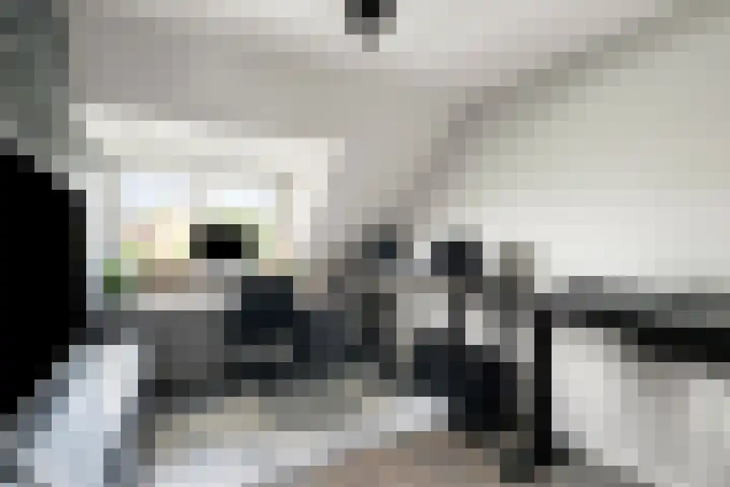 J.W. Dumonstraat 4 Olst thumbnail 23