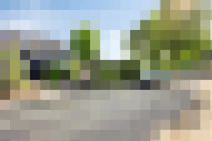 J.W. Dumonstraat 4 Olst thumbnail 27