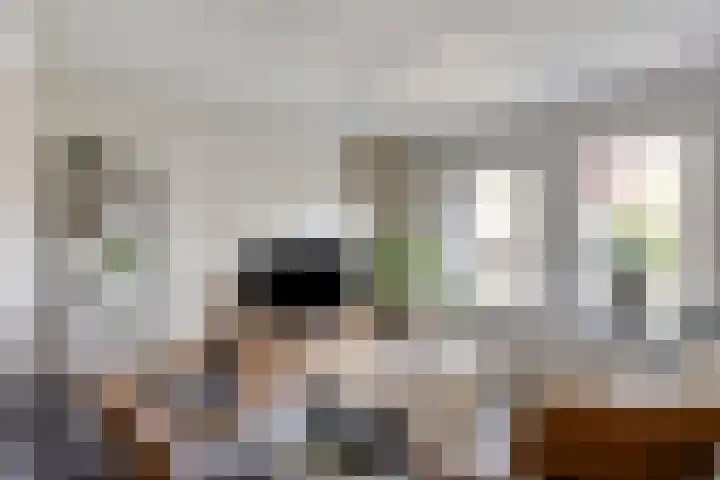 J.W. Dumonstraat 4 Olst thumbnail 4