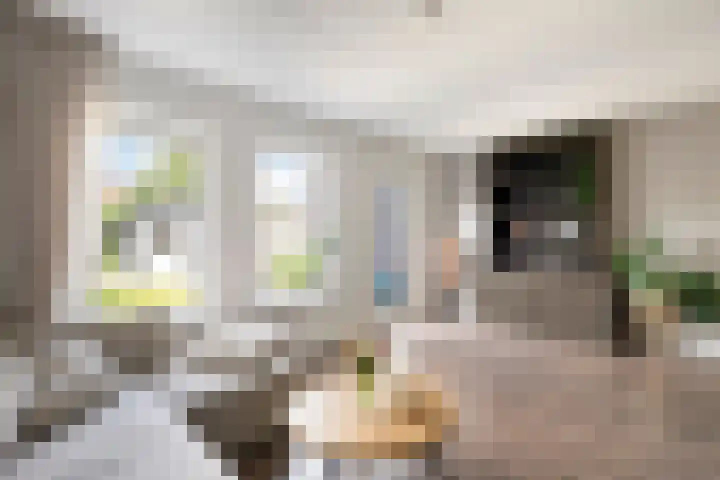 J.W. Dumonstraat 4 Olst thumbnail 4