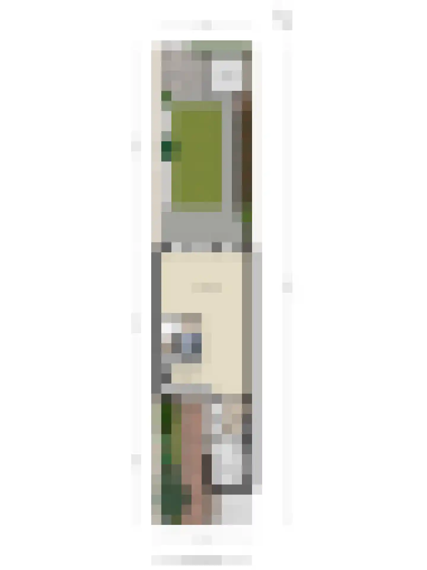 J.W. Dumonstraat 4 Olst thumbnail 44