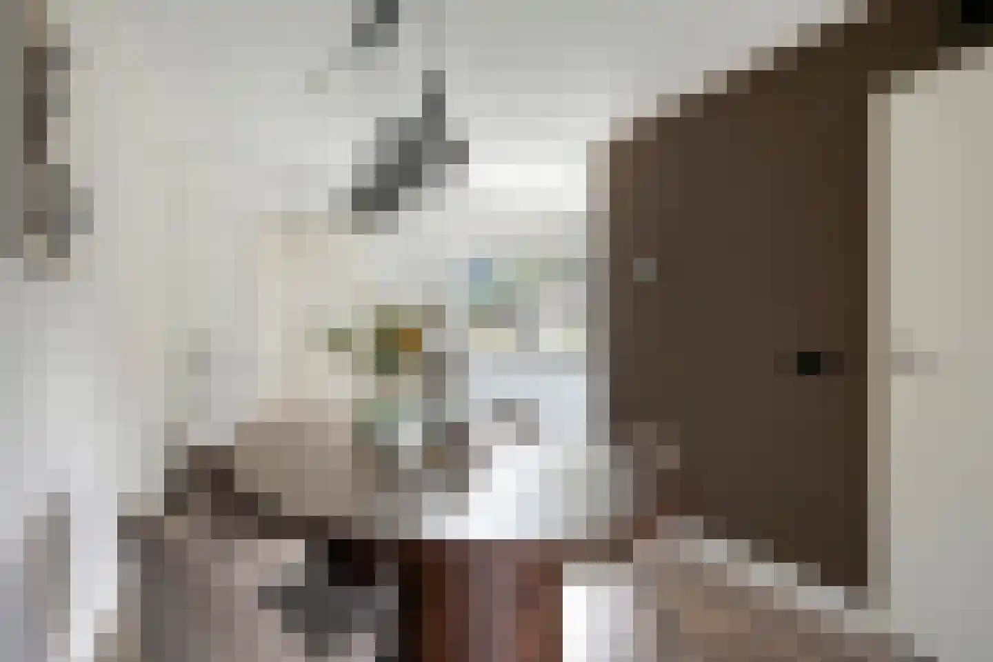 J.W. Dumonstraat 4 Olst thumbnail 7