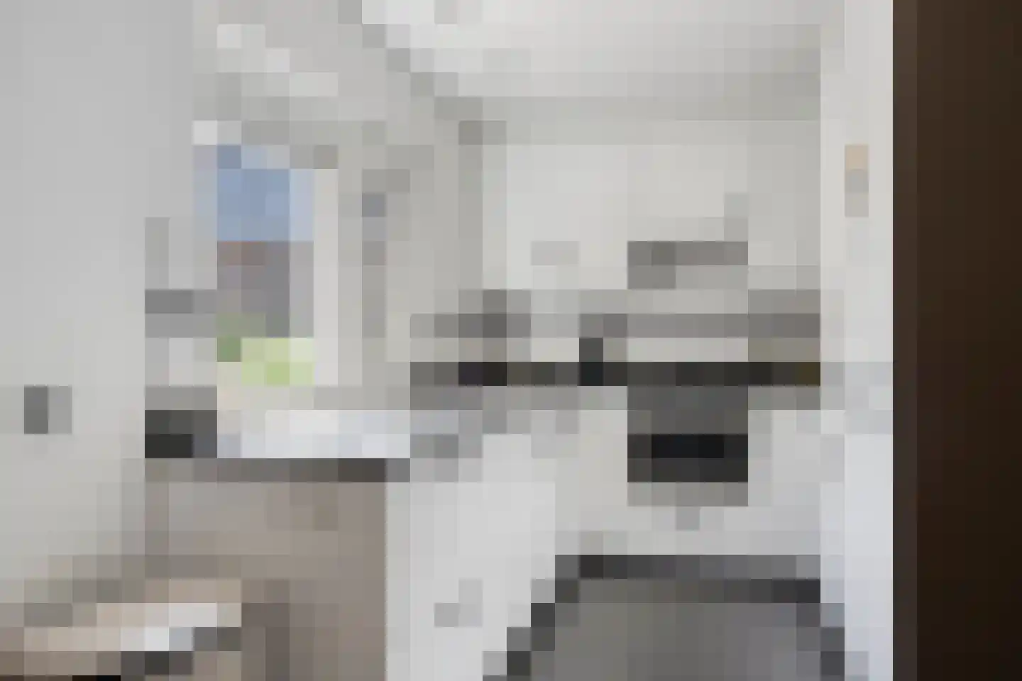 J.W. Dumonstraat 4 Olst thumbnail 8