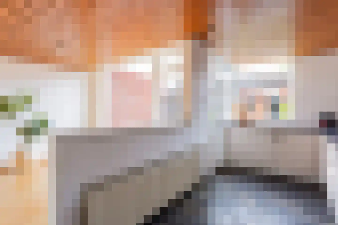 J.W.F. van Hartenstraat 21 Oldenzaal thumbnail 10