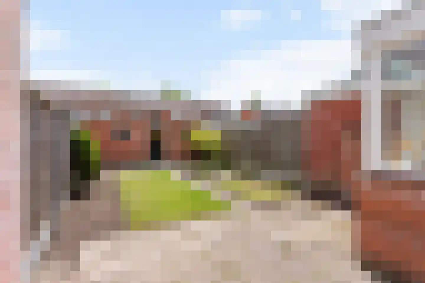 J.W.F. van Hartenstraat 21 Oldenzaal thumbnail 18