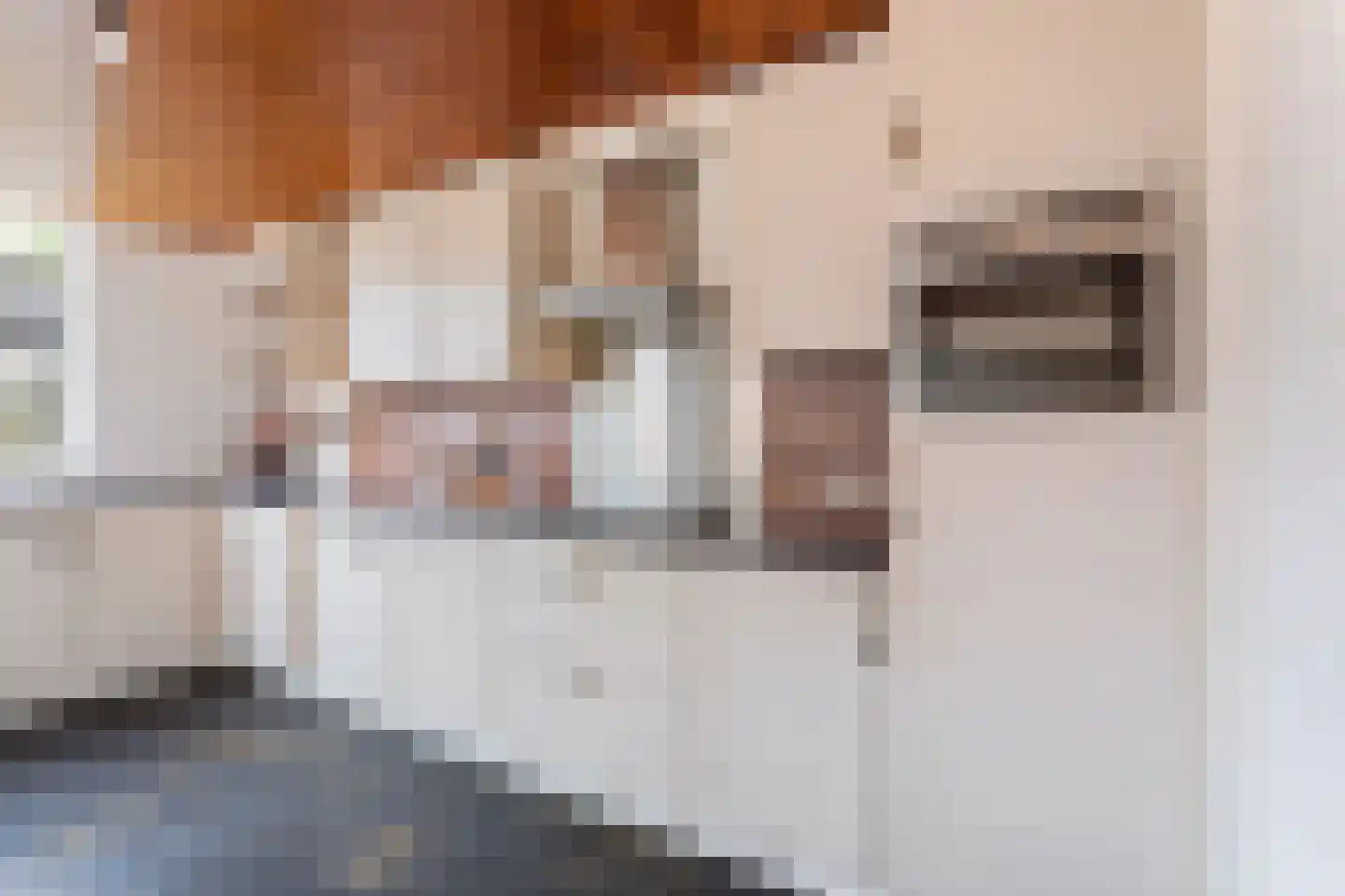 J.W.F. van Hartenstraat 21 Oldenzaal thumbnail 9