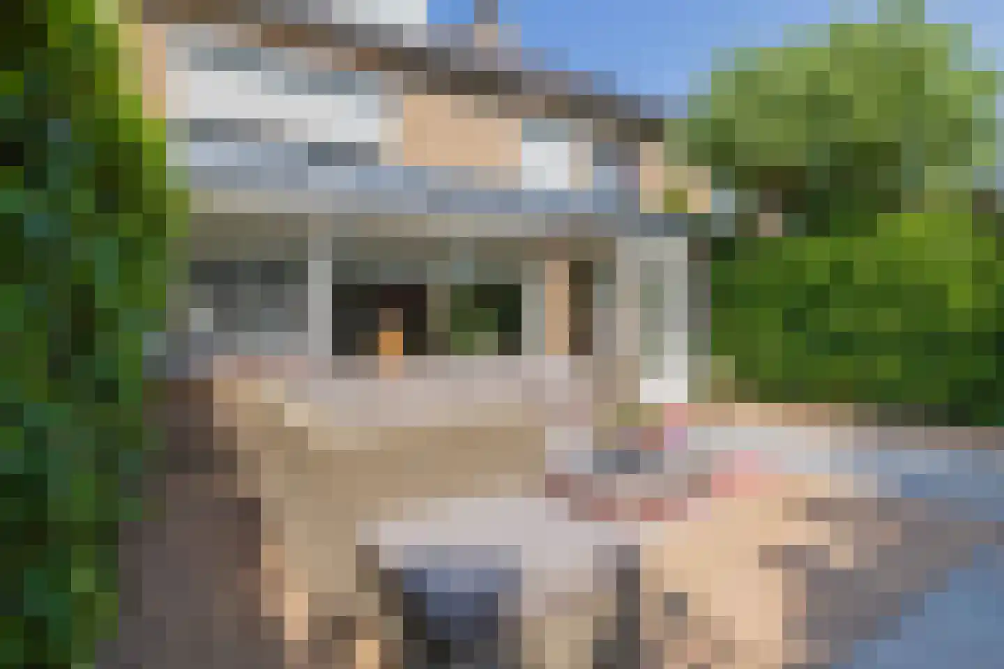 J.W. Frisodreef 162 Katwijk thumbnail 21