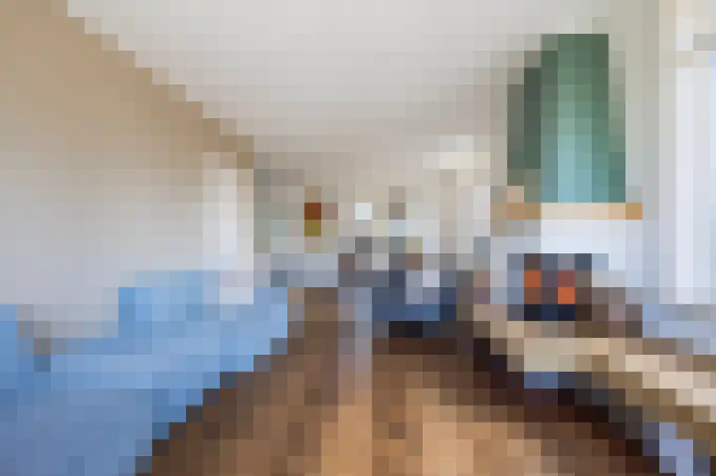 J.W. Hagemanstraat 55 Eibergen thumbnail 12