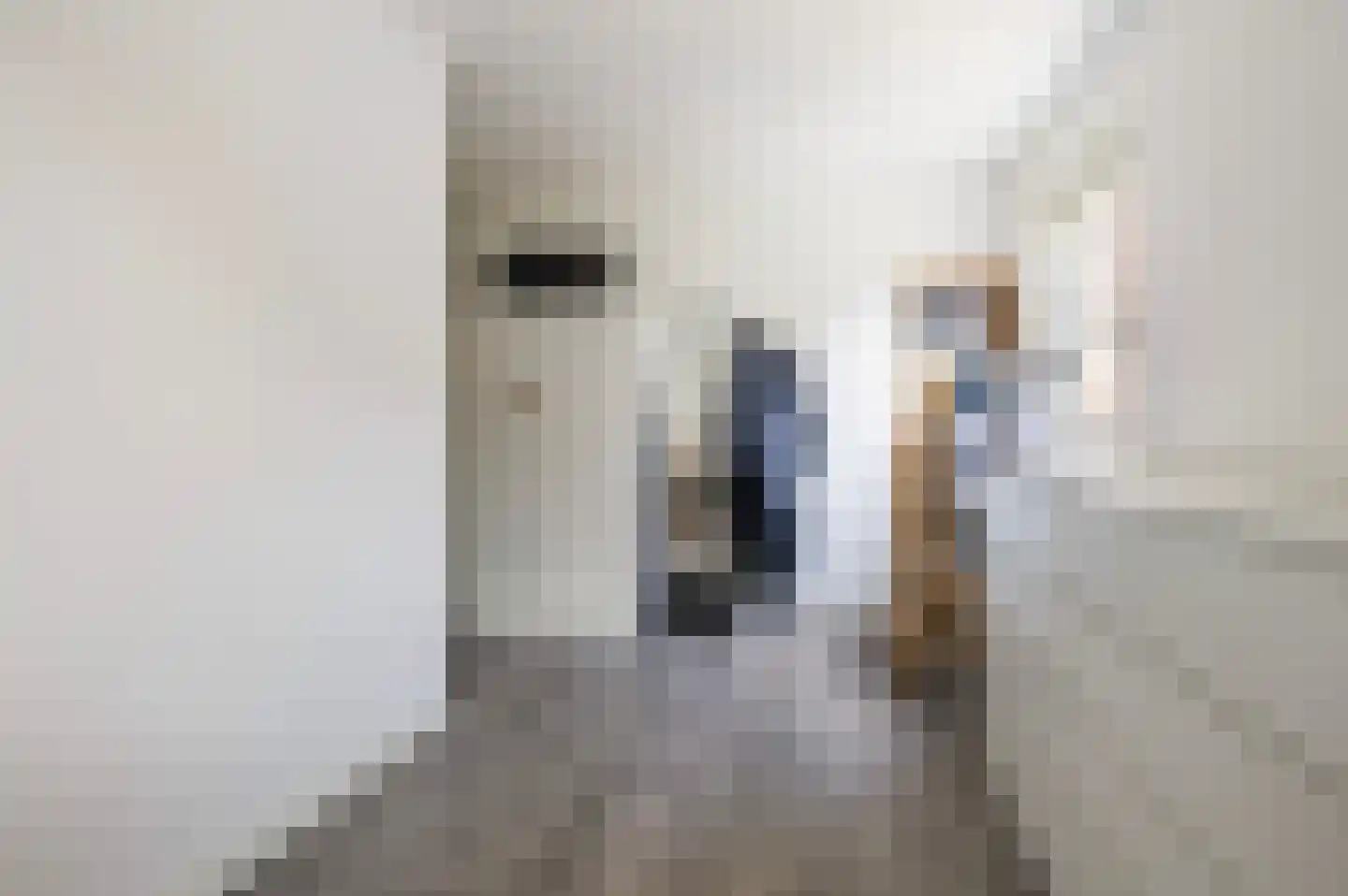 J.W. Hagemanstraat 55 Eibergen thumbnail 21