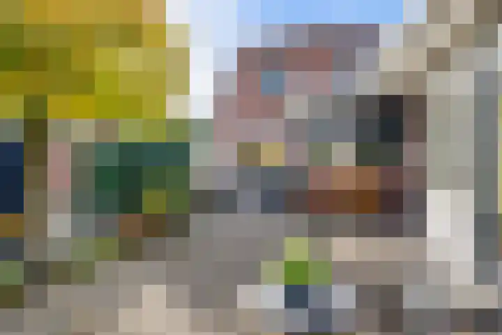 J.W. Hagemanstraat 73 Eibergen thumbnail 30