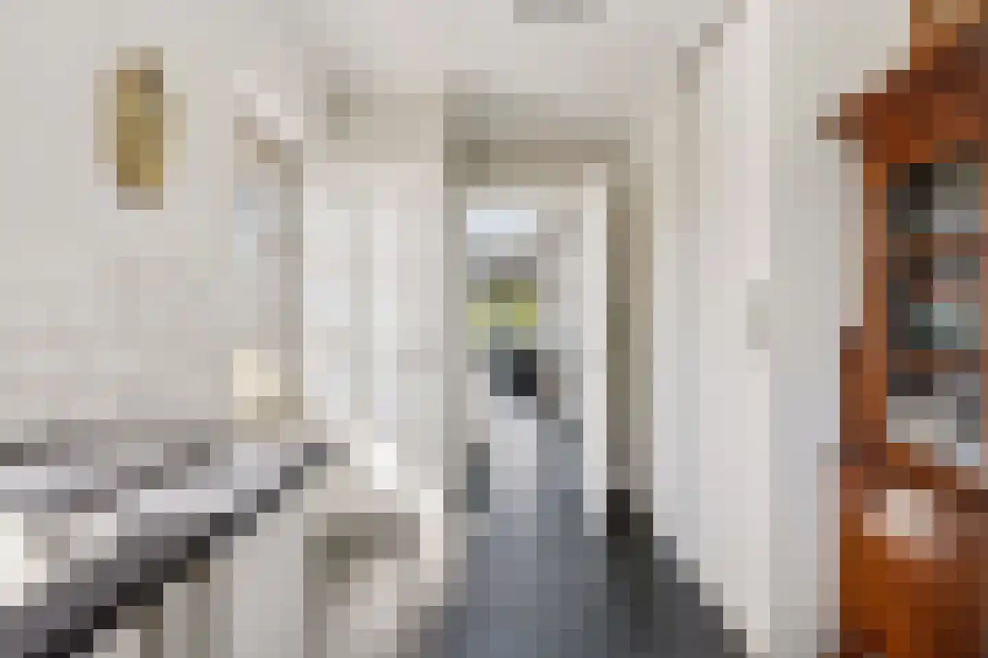 J.W. Hagemanstraat 75 Eibergen thumbnail 23