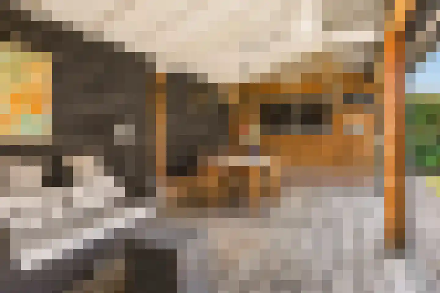 J.W. Hagemanstraat 75 Eibergen thumbnail 49