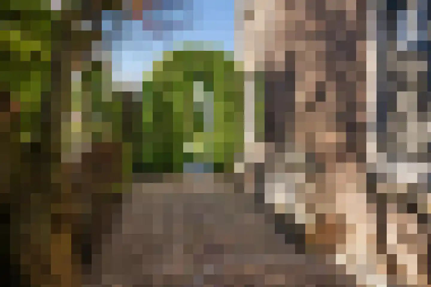 J.W. Hagemanstraat 75 Eibergen thumbnail 53