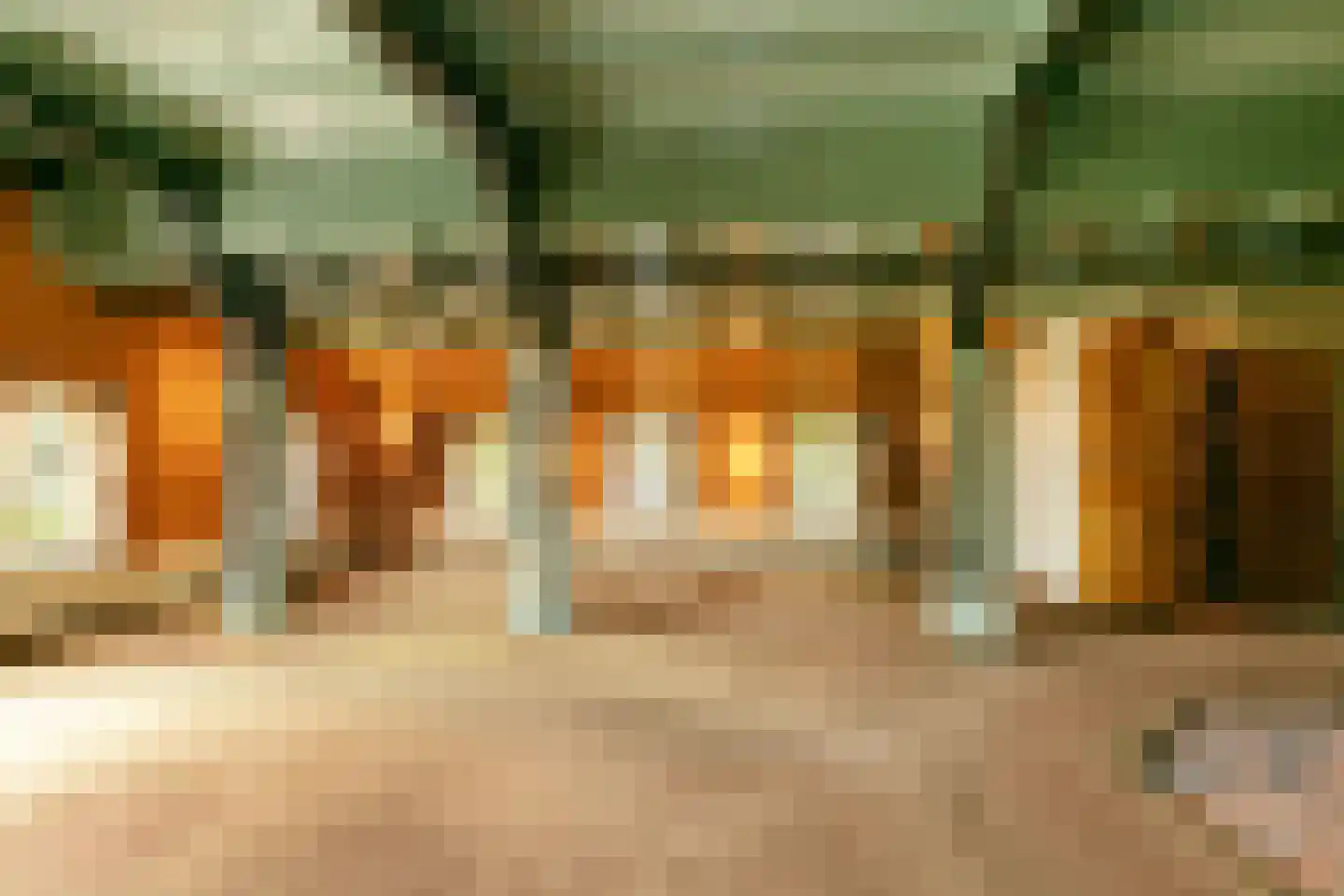 J.W. Hagemanstraat 85 Eibergen thumbnail 4