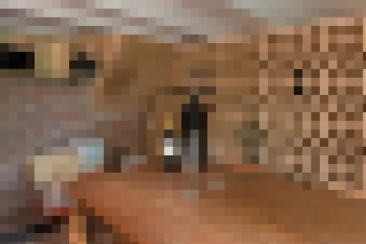 J.W. Hagemanstraat 85 Eibergen thumbnail 8