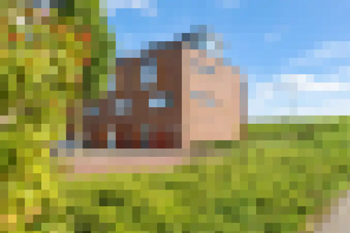 J.W. Nieuwenhuysestraat 33 Tiel thumbnail 15