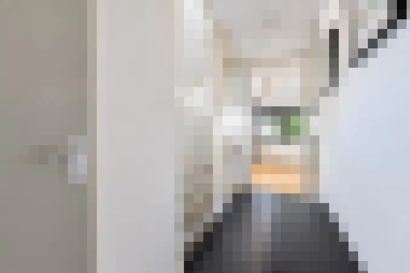 J.W. Nieuwenhuysestraat 33 Tiel thumbnail 30
