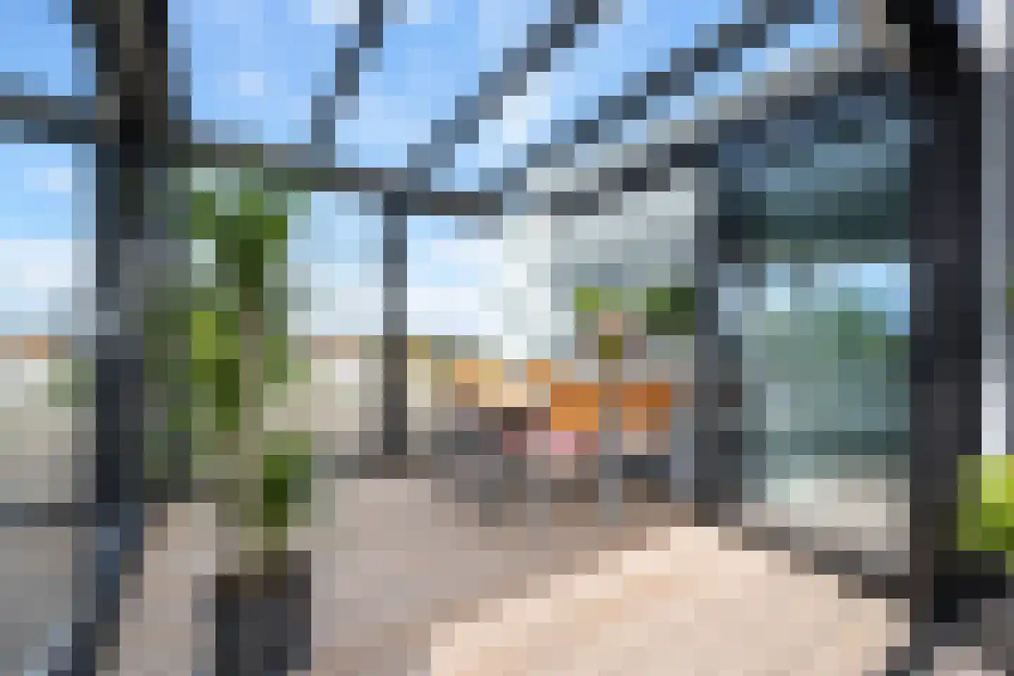 J.W. Nieuwenhuysestraat 33 Tiel thumbnail 74
