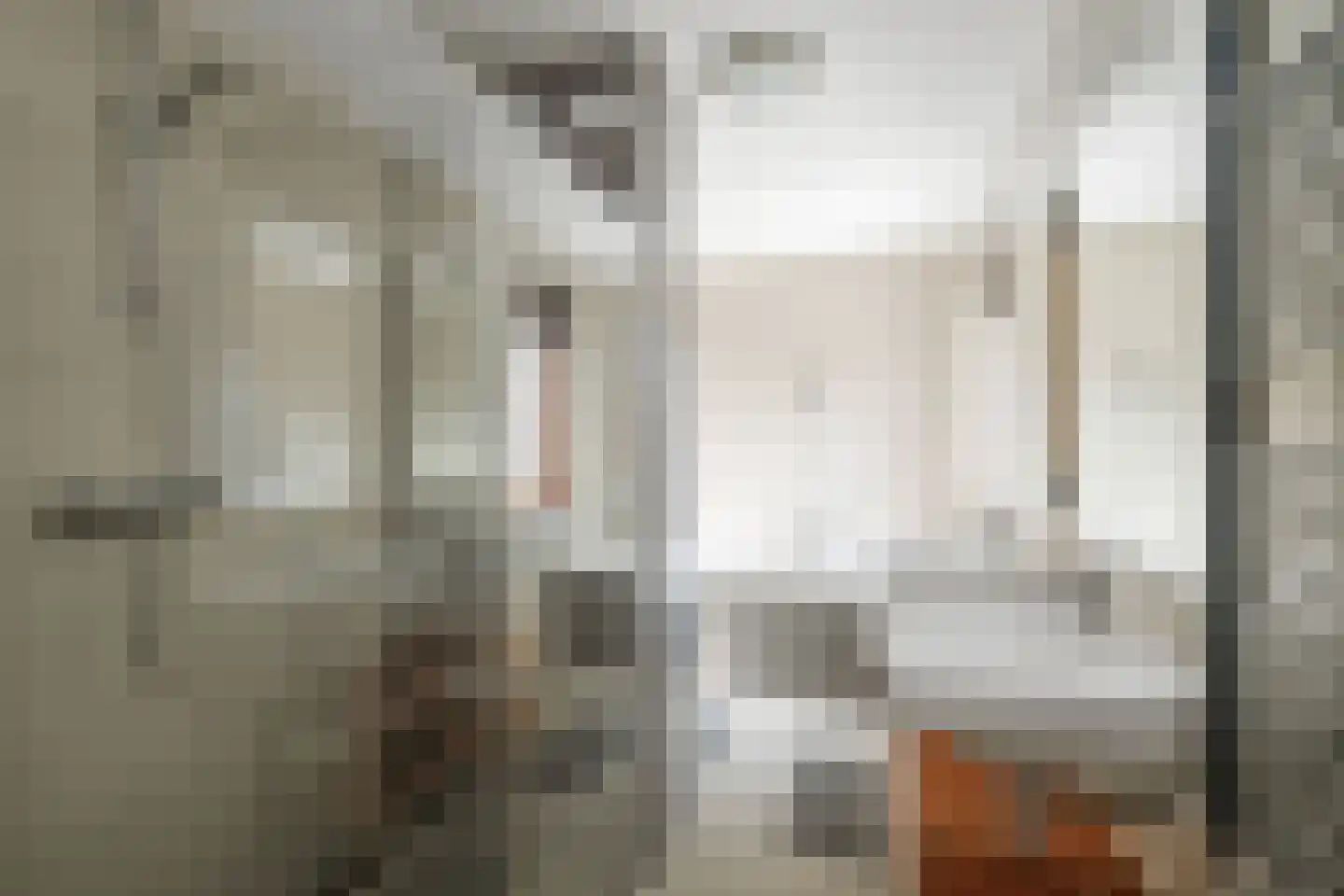 J.W. Pienemanstraat 2 Deventer thumbnail 24