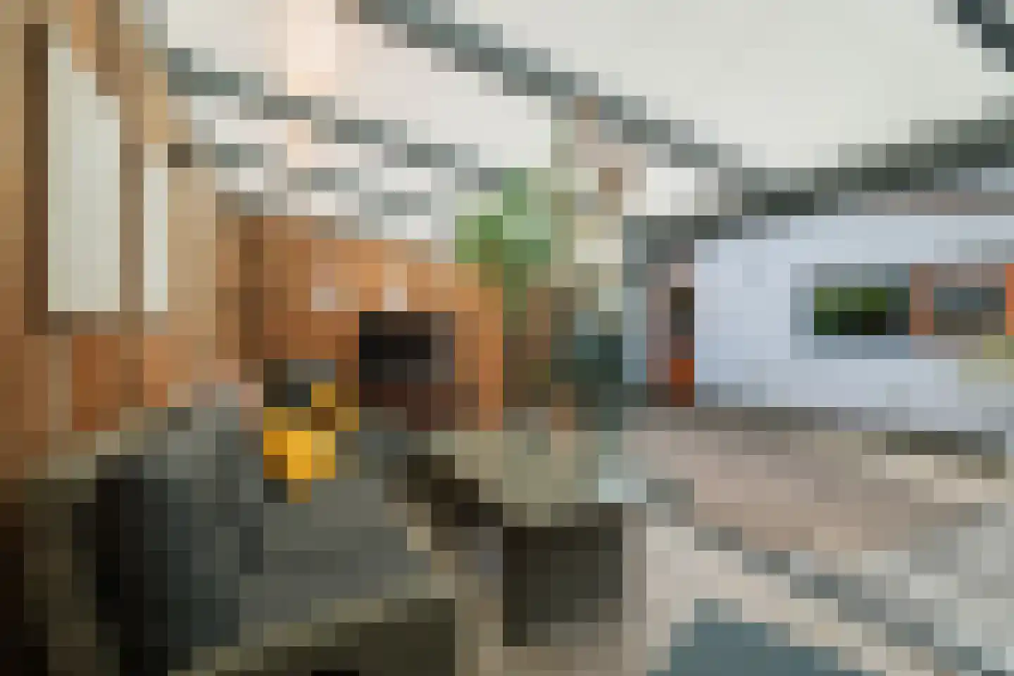 J.W. Pienemanstraat 2 Deventer thumbnail 33