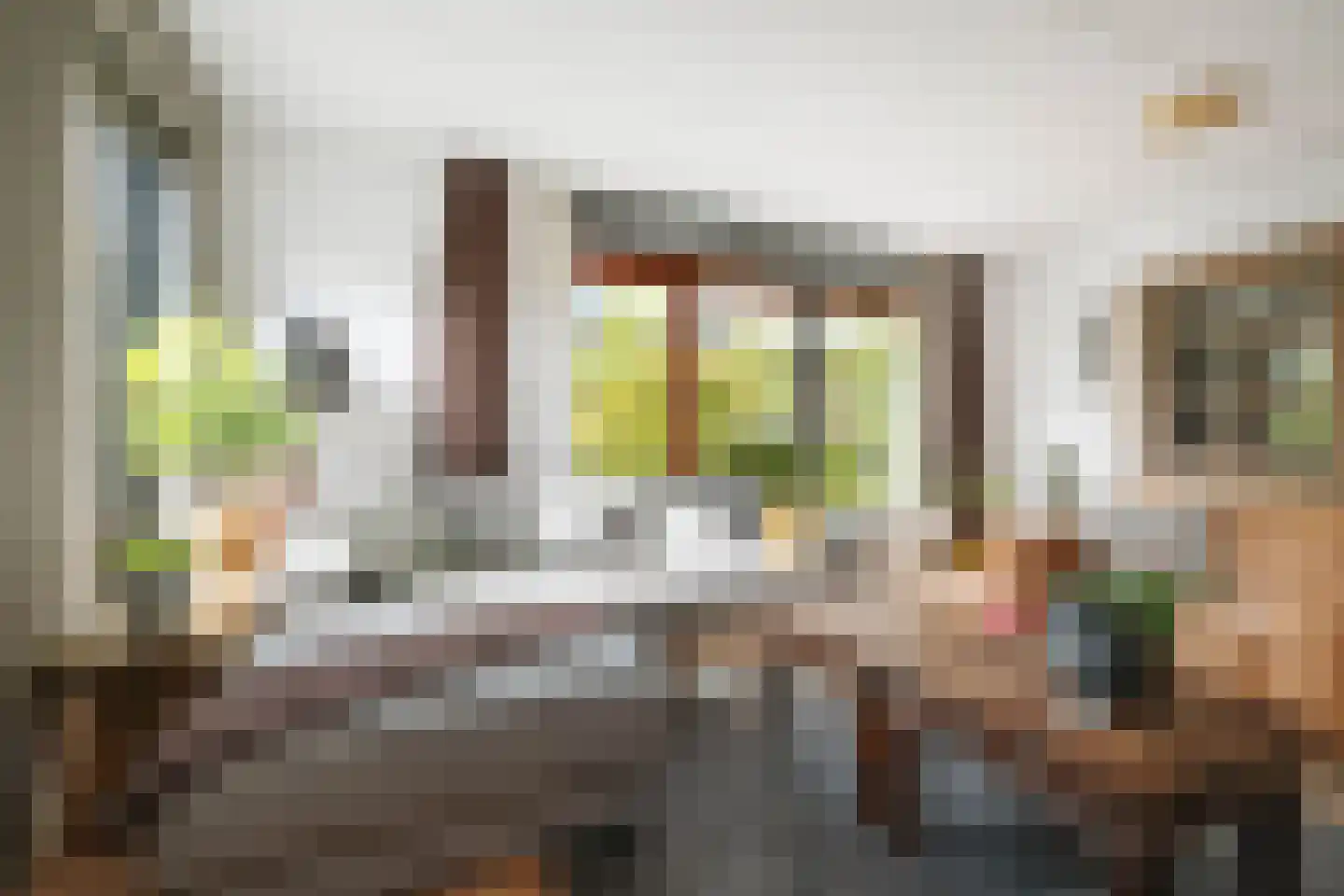 J.W. Pienemanstraat 2 Deventer thumbnail 9