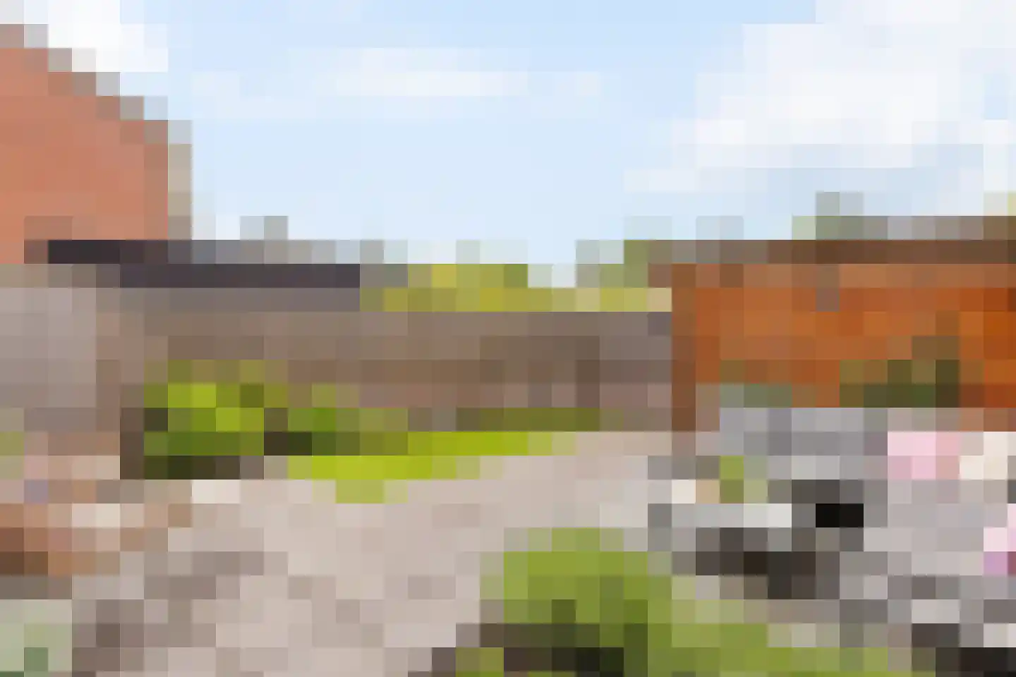 J.W. Racerstraat 1 Oldenzaal thumbnail 20