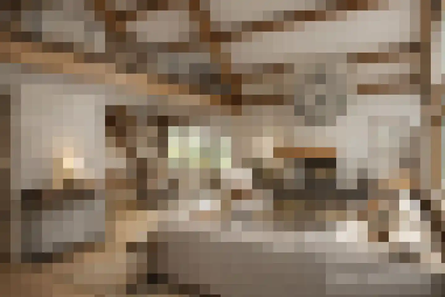 J.W. Schuurmanstraat 10 Domburg thumbnail 4