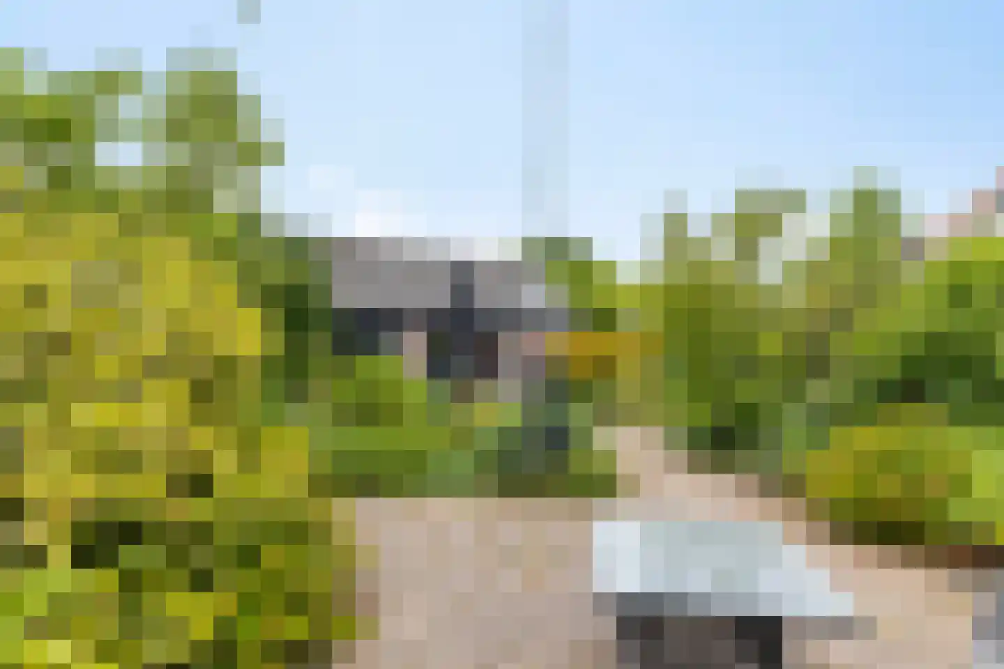 J.W. Schuurmanstraat 10 Domburg thumbnail 40