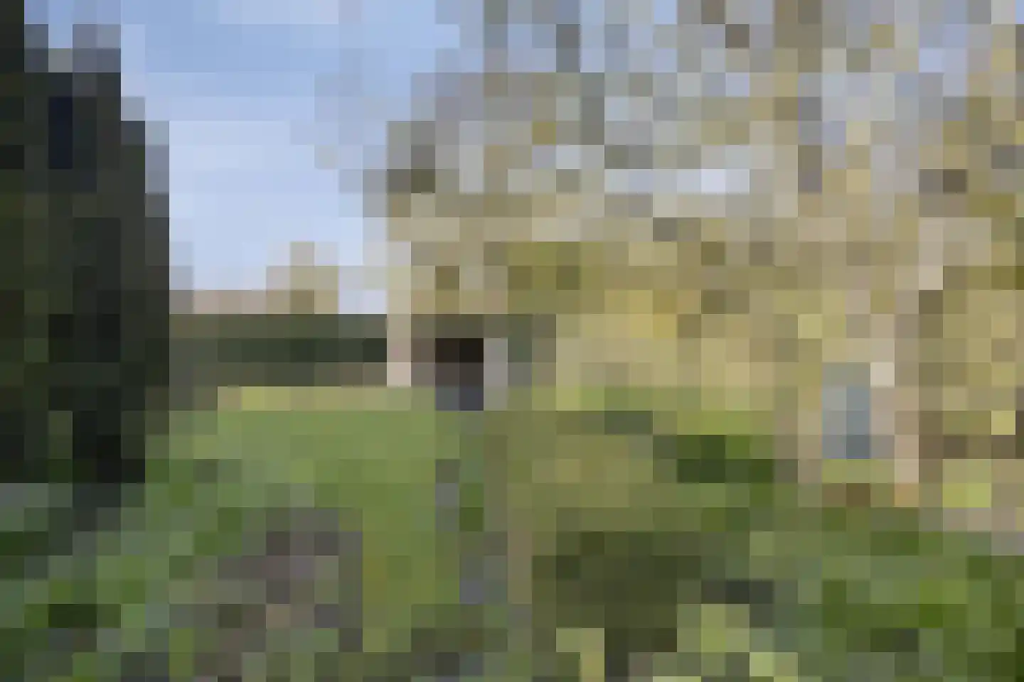 J.W. Schuurmanstraat 133 Domburg thumbnail 17