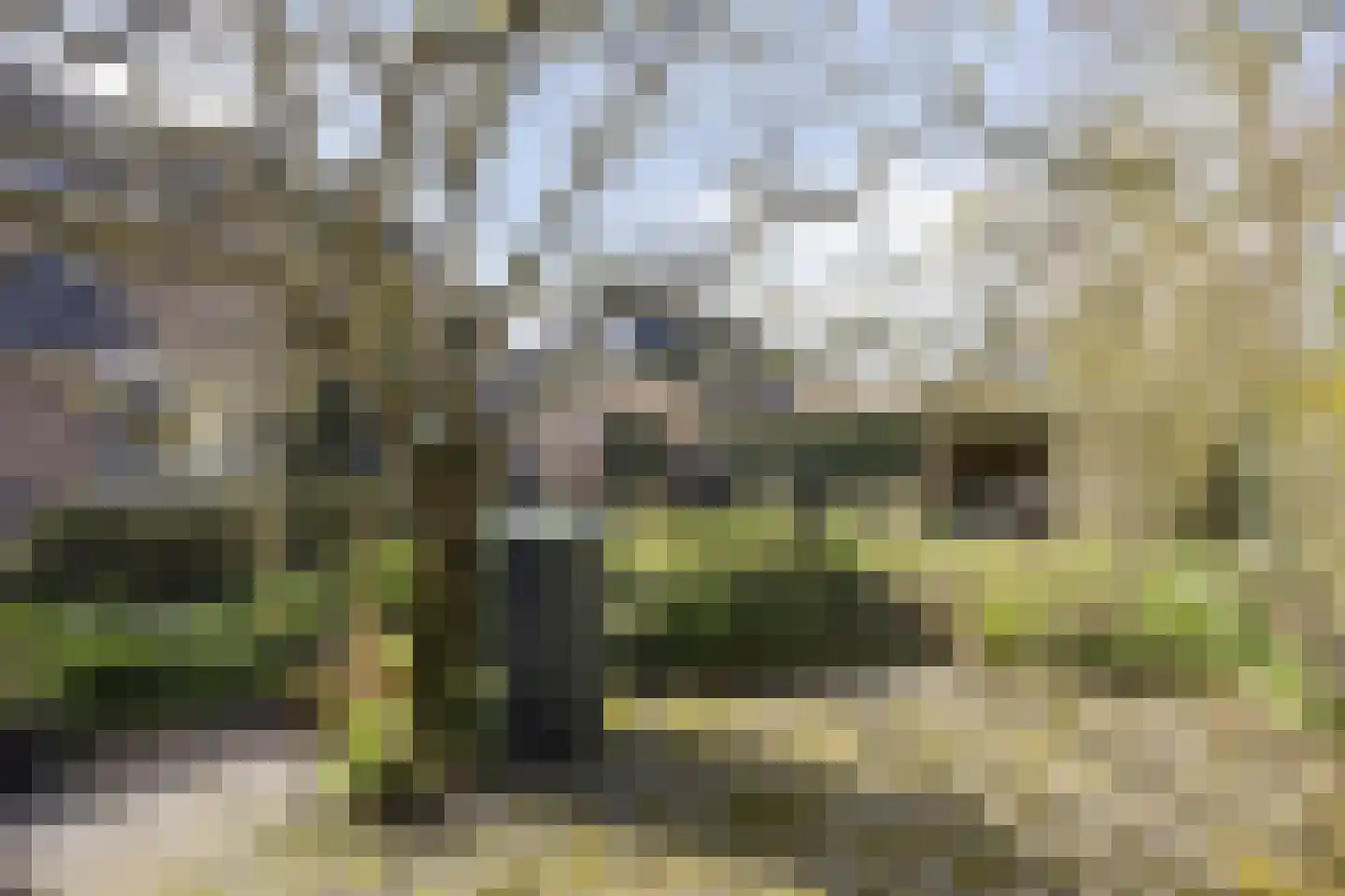 J.W. Schuurmanstraat 133 Domburg thumbnail 18