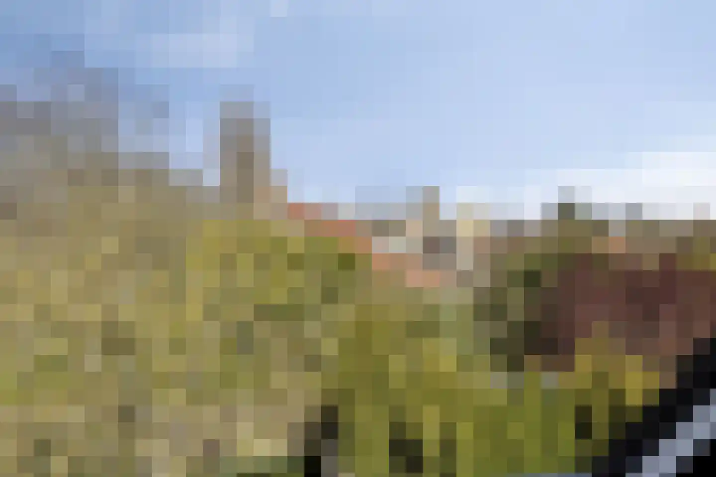 J.W. Schuurmanstraat 133 Domburg thumbnail 40